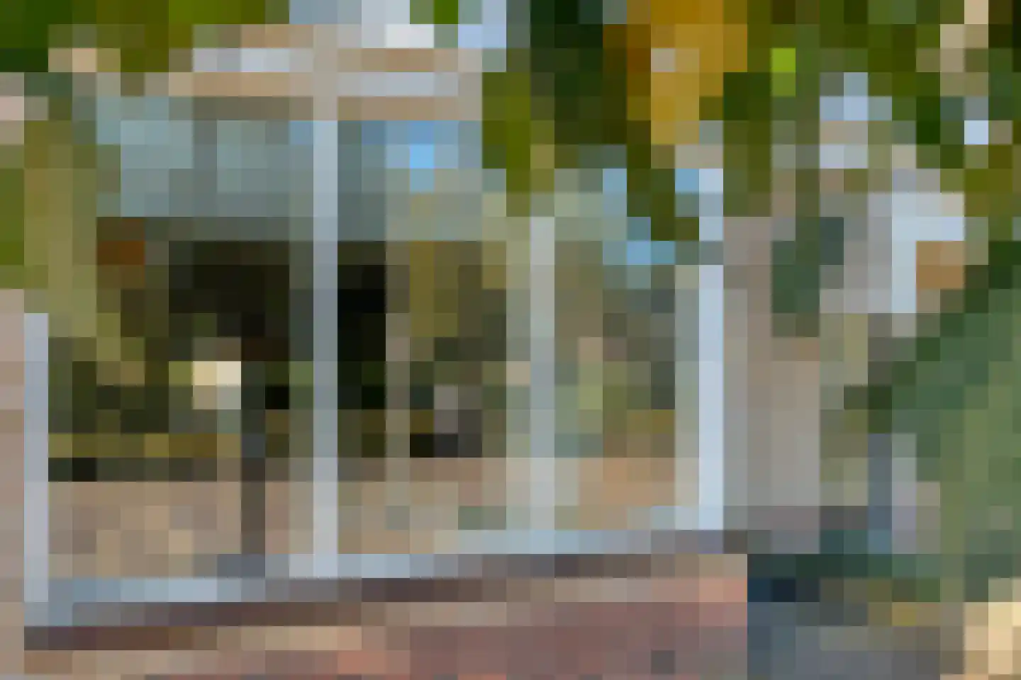 Buizerd 9 Raalte thumbnail 9