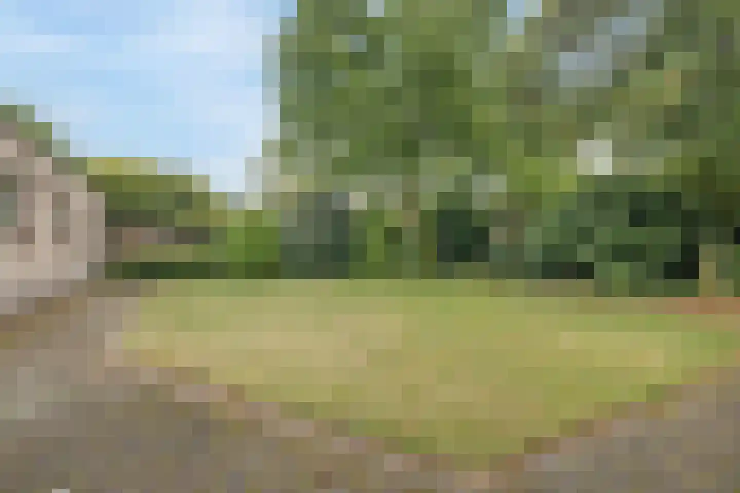 Buizerd 95 Veldhoven thumbnail 43