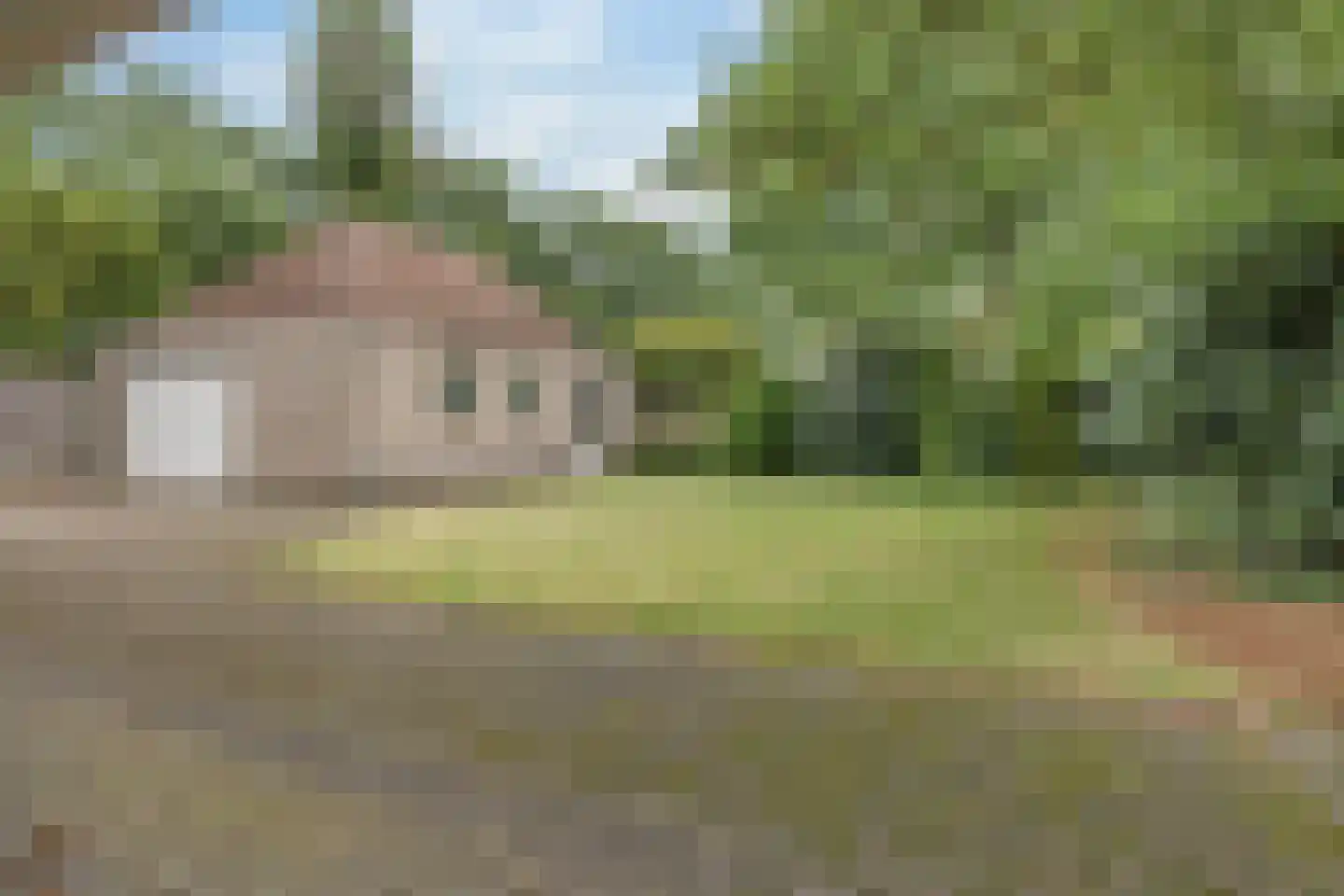 Buizerd 95 Veldhoven thumbnail 45