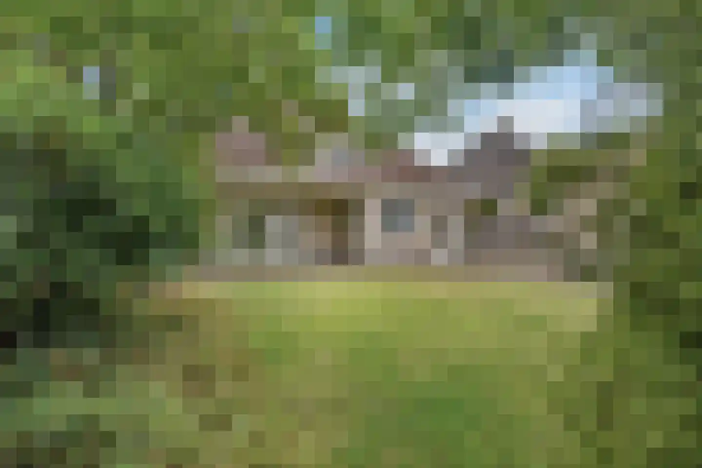 Buizerd 95 Veldhoven thumbnail 6