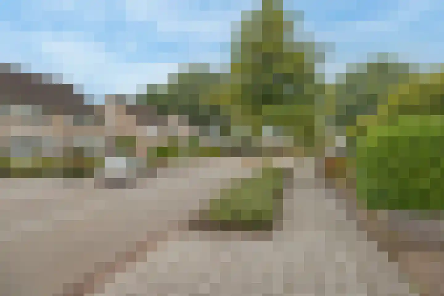 Buizerd 95 Veldhoven thumbnail 67