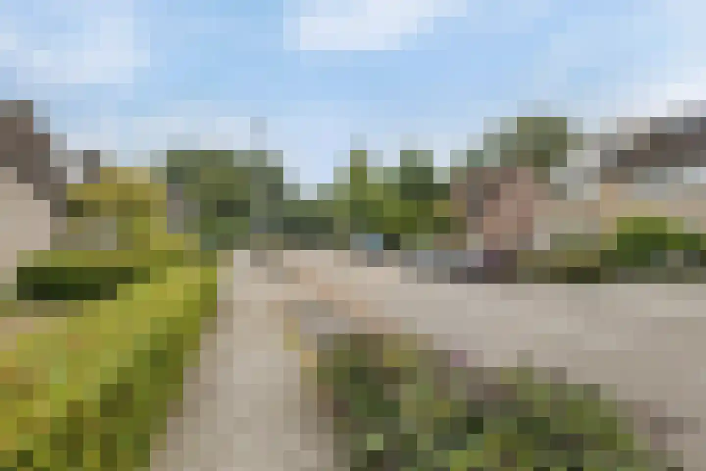Buizerd 95 Veldhoven thumbnail 68