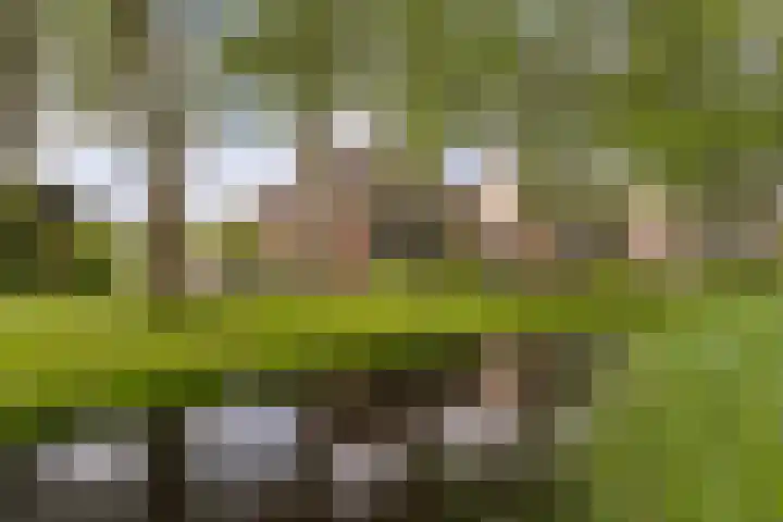 Buizerderf 16 in Voorschoten