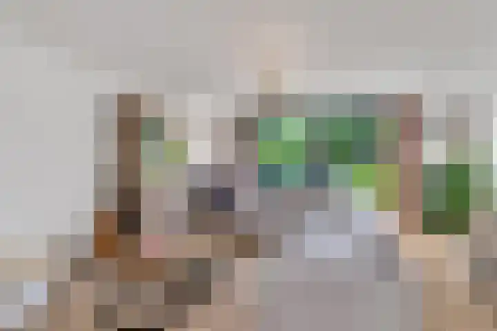 Buizerderf 22 Voorschoten thumbnail 10
