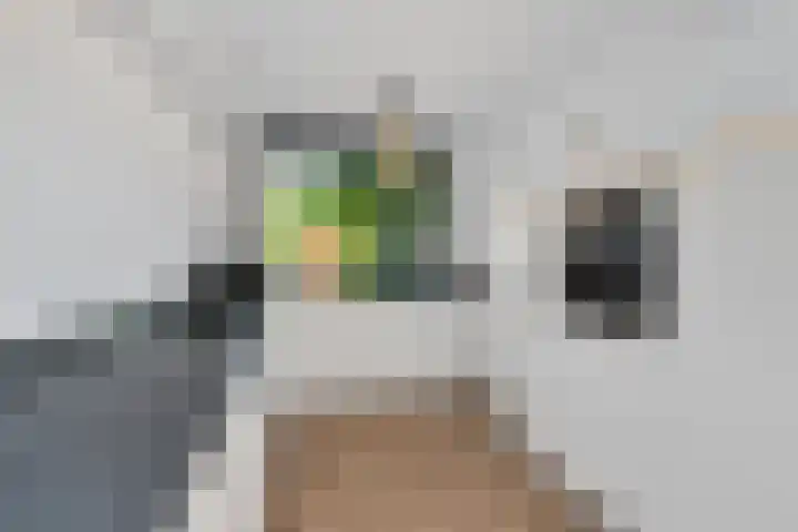 Buizerderf 22 Voorschoten thumbnail 17