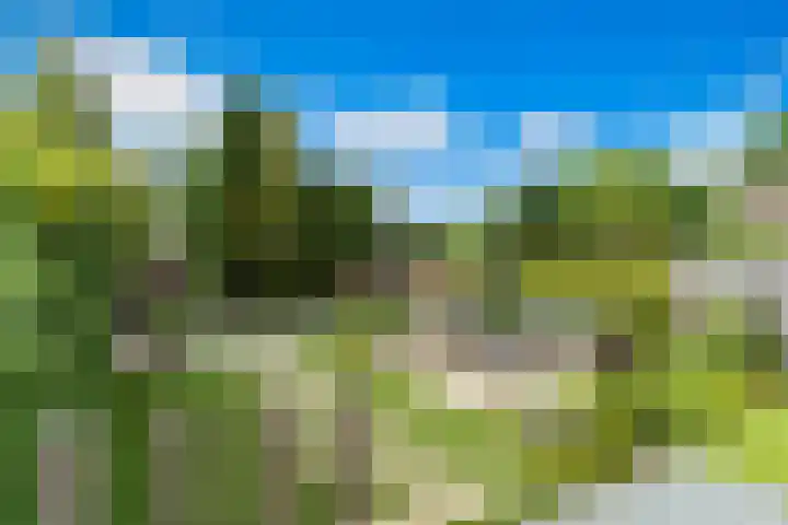 Buizerderf 22 Voorschoten thumbnail 23