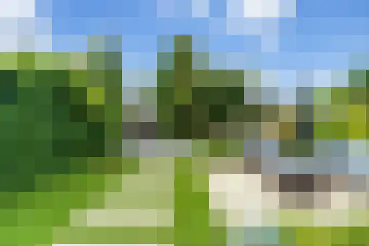 Buizerderf 22 Voorschoten thumbnail 26