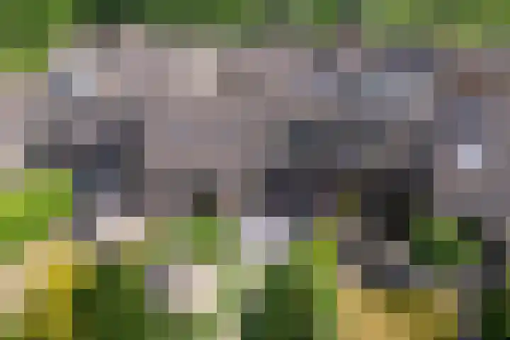 Buizerderf 22 Voorschoten thumbnail 30