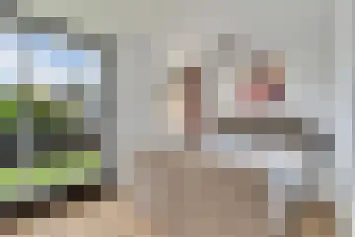Buizerderf 22 Voorschoten thumbnail 37