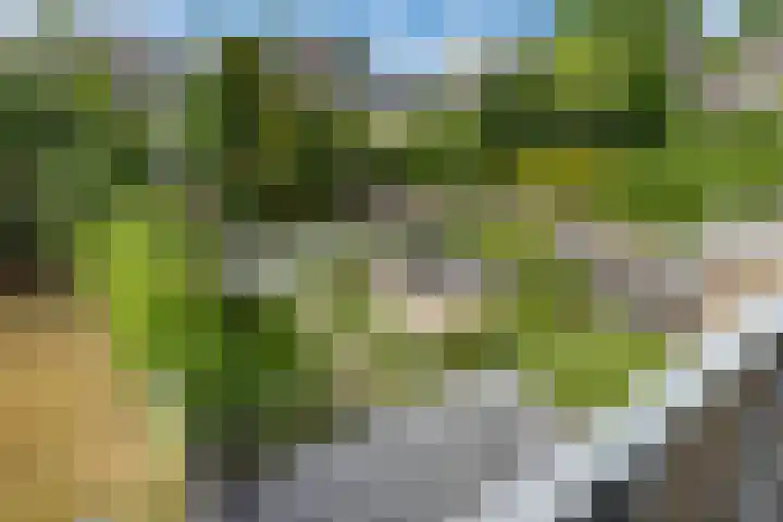 Buizerderf 22 Voorschoten thumbnail 40
