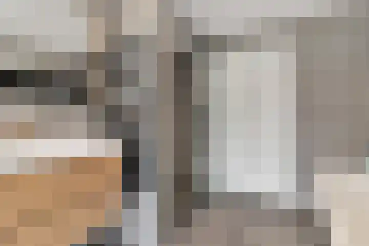 Buizerderf 22 Voorschoten thumbnail 43
