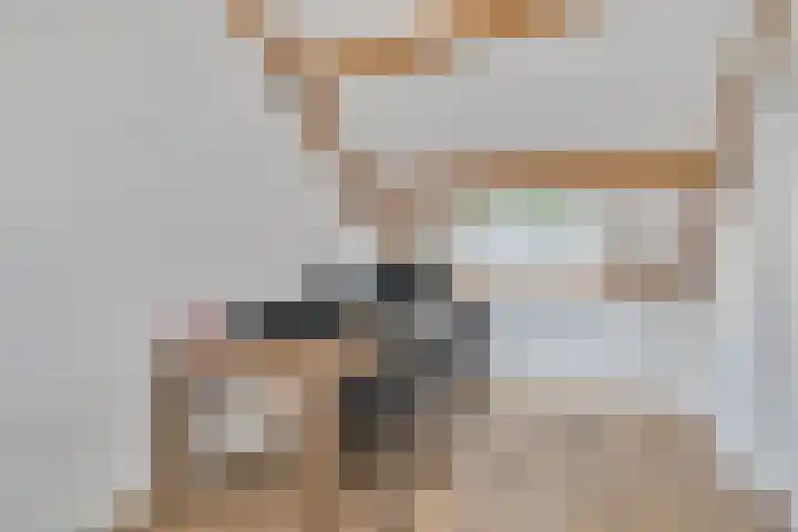 Buizerderf 22 Voorschoten thumbnail 48
