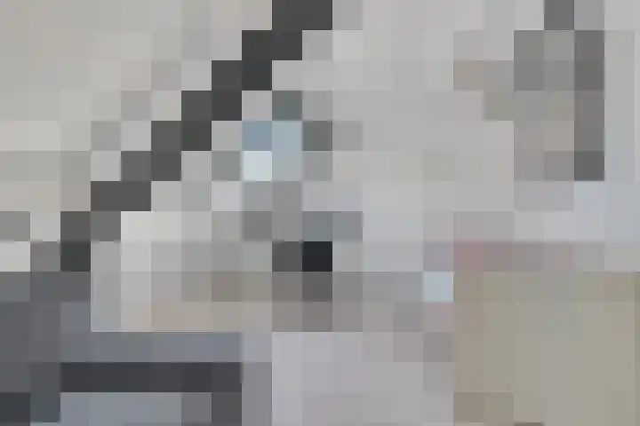 Buizerderf 22 Voorschoten thumbnail 52