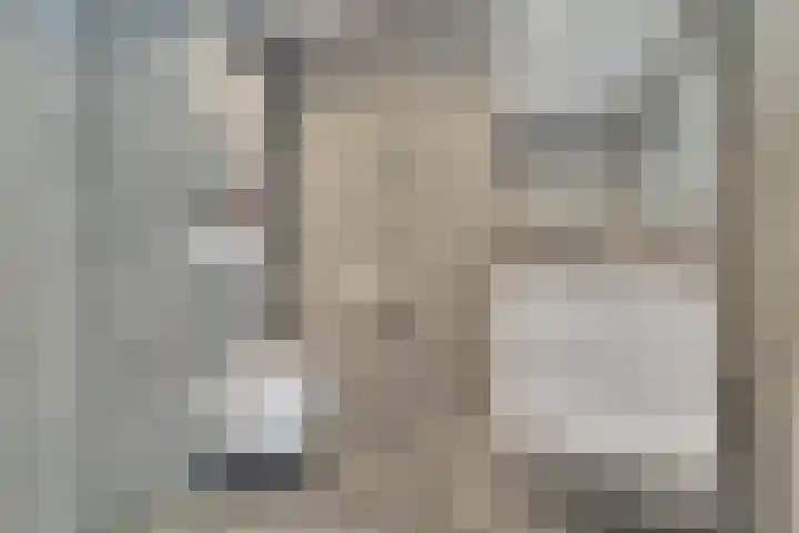 Buizerderf 22 Voorschoten thumbnail 57