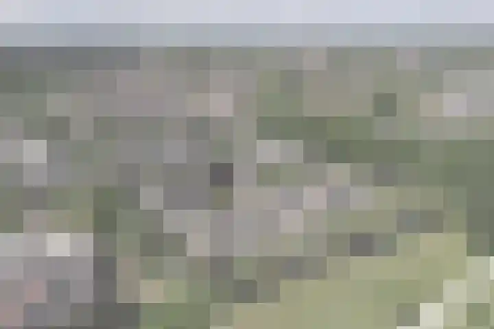 Buizerderf 22 Voorschoten thumbnail 59