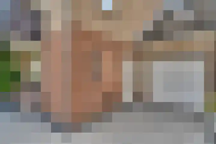 Buizerderf 22 Voorschoten thumbnail 6