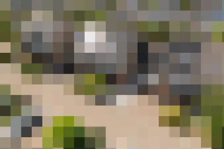 Buizerderf 22 Voorschoten thumbnail 60