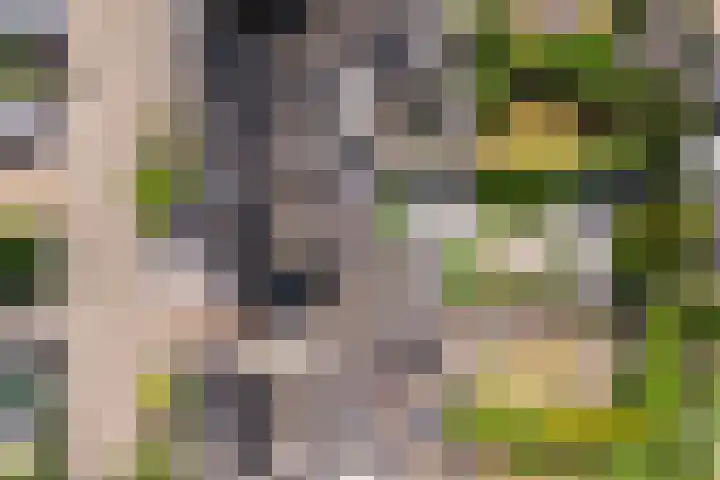 Buizerderf 22 Voorschoten thumbnail 61