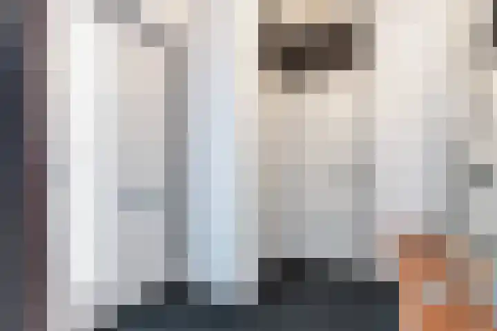 Buizerderf 22 Voorschoten thumbnail 7