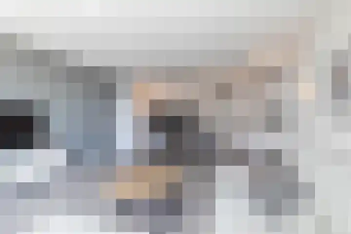 Buizerdhof 147 Capelle aan den IJssel thumbnail 16