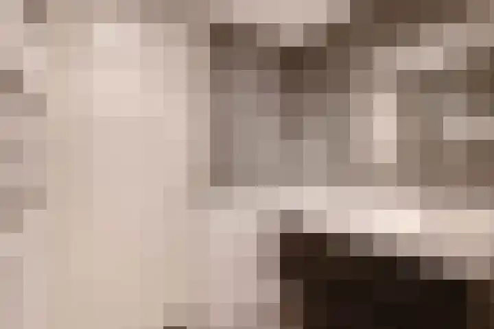 Buizerdhof 147 Capelle aan den IJssel thumbnail 30