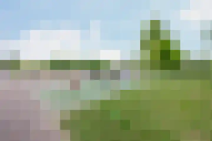 Buizerdhof 147 Capelle aan den IJssel thumbnail 38