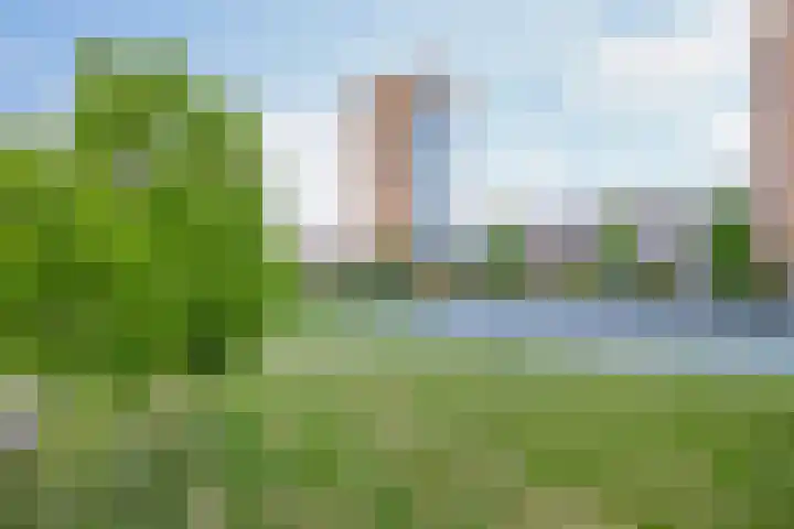 Buizerdhof 147 Capelle aan den IJssel thumbnail 41