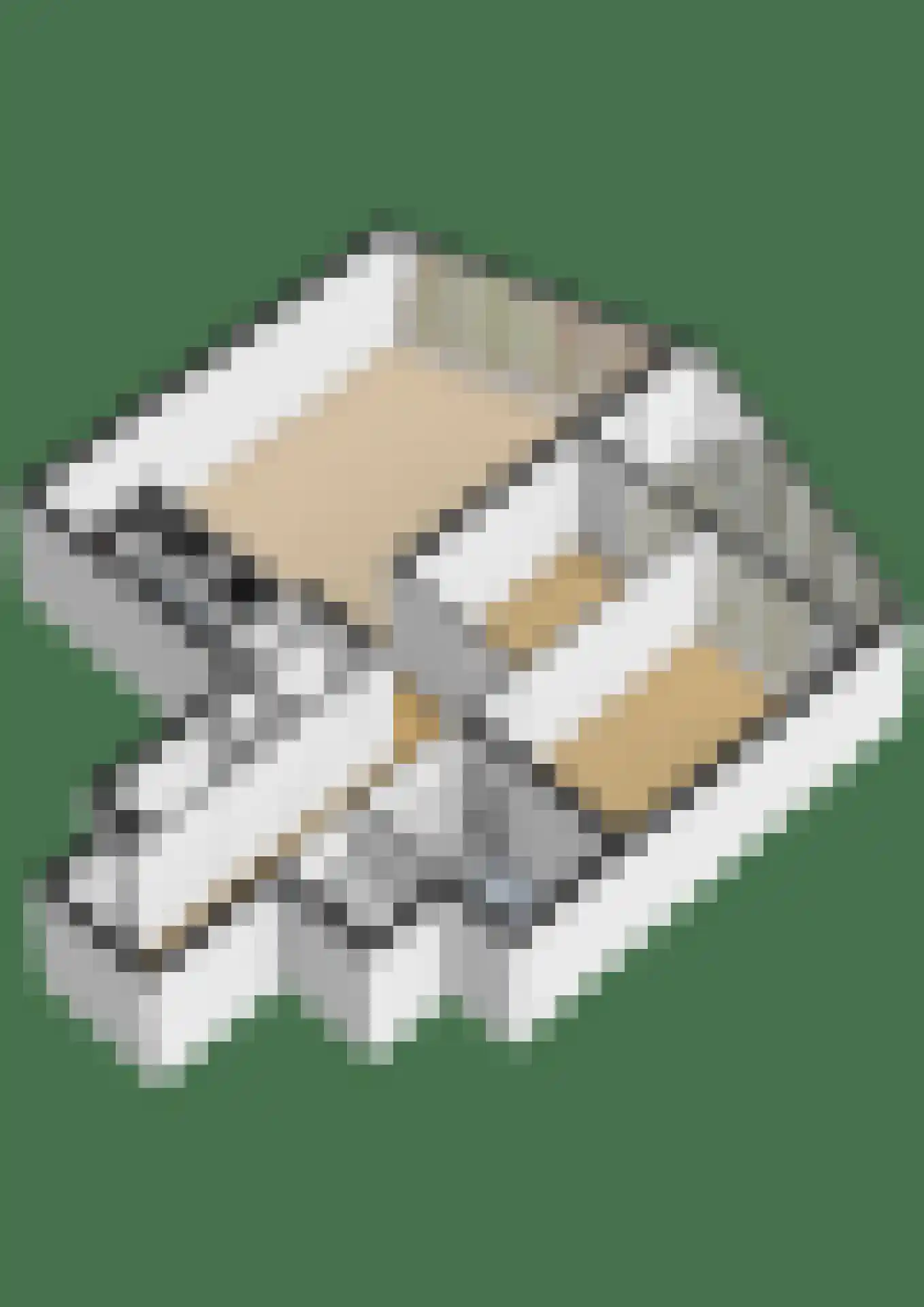 Buizerdhof 257 Capelle aan den IJssel thumbnail 37