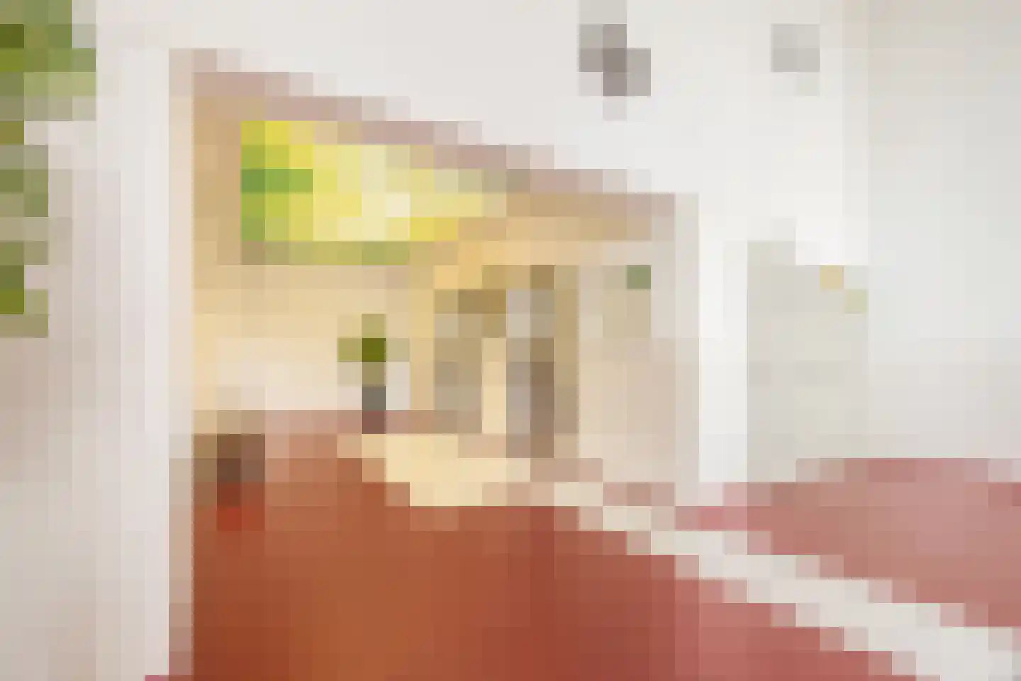 Buizerdhof 257 Capelle aan den IJssel thumbnail 7