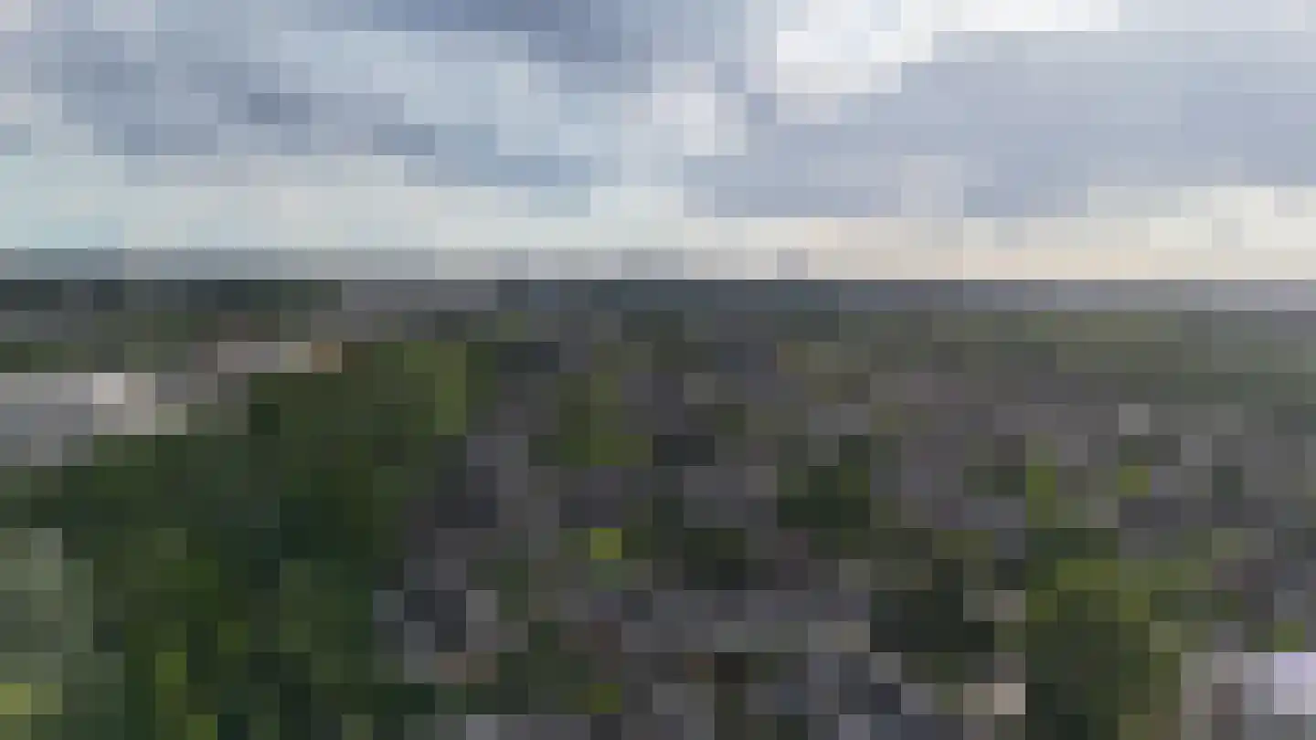 Buizerdhof 269 Capelle aan den IJssel thumbnail 5