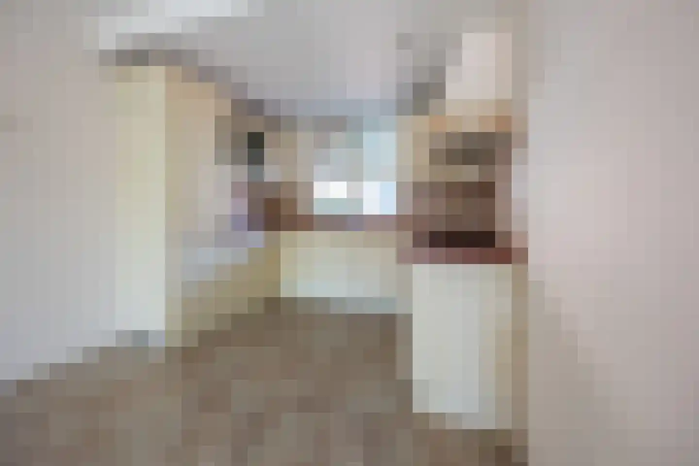 Buizerdhof 27 Berkel en Rodenrijs thumbnail 12