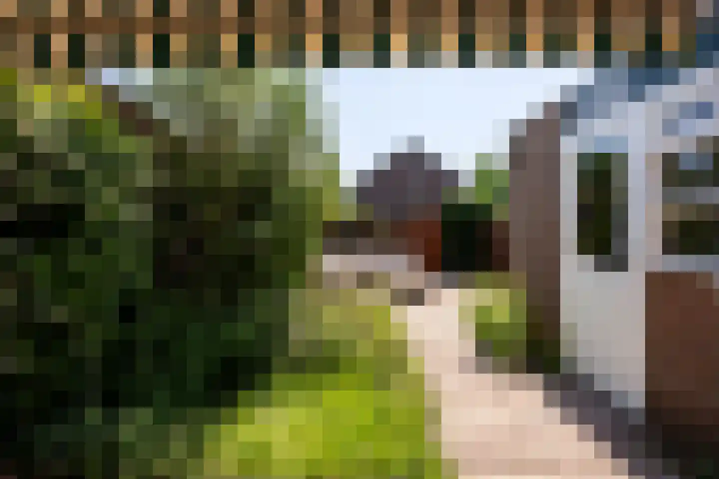 Buizerdhof 27 Berkel en Rodenrijs thumbnail 17