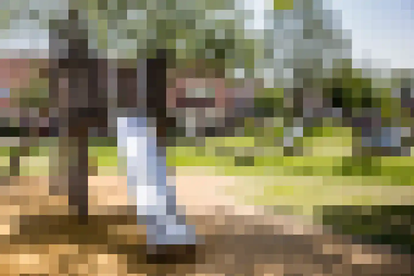 Buizerdhof 27 Berkel en Rodenrijs thumbnail 34