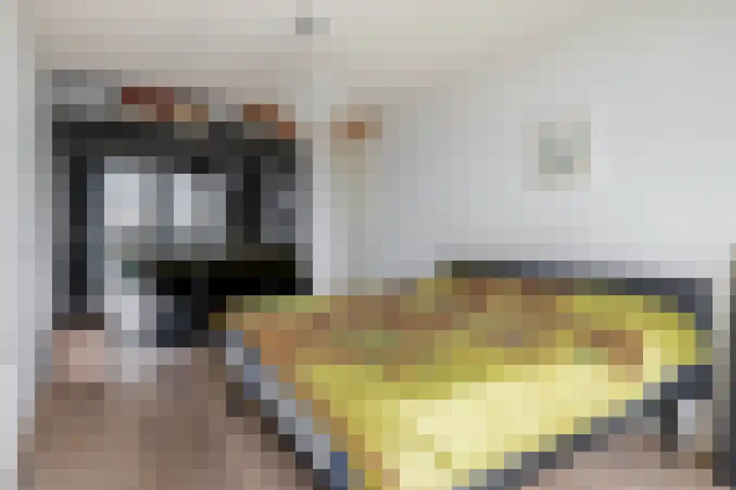 Buizerdhof 281 Capelle aan den IJssel thumbnail 4