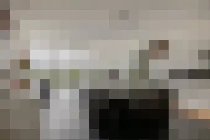 Buizerdhof 291 Capelle aan den IJssel thumbnail 13