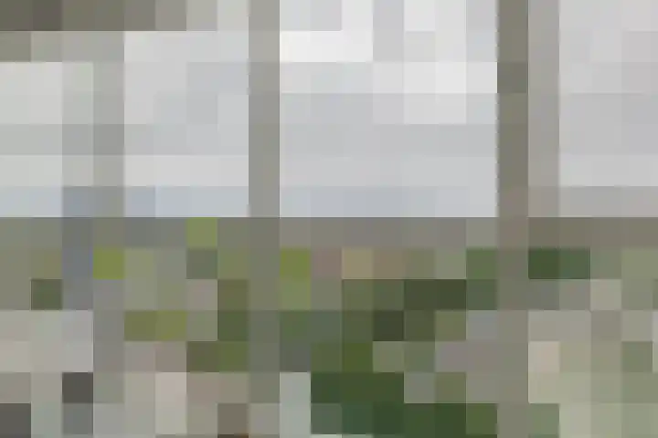 Buizerdhof 291 Capelle aan den IJssel thumbnail 16