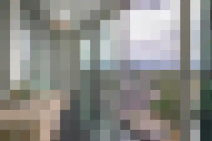 Buizerdhof 291 Capelle aan den IJssel thumbnail 22