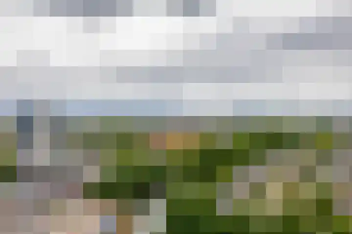 Buizerdhof 291 Capelle aan den IJssel thumbnail 23
