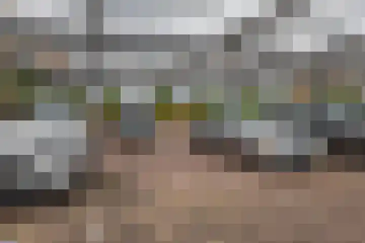 Buizerdhof 291 Capelle aan den IJssel thumbnail 32