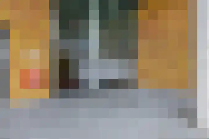 Buizerdhof 291 Capelle aan den IJssel thumbnail 7