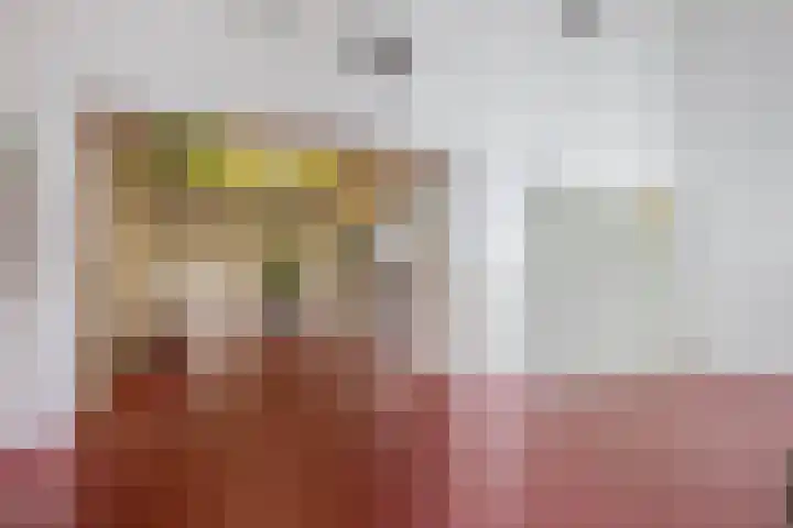 Buizerdhof 291 Capelle aan den IJssel thumbnail 8