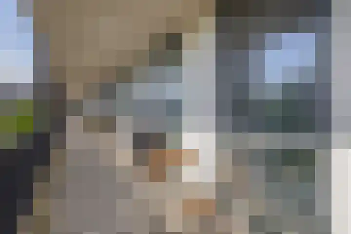 Buizerdhof 377 Capelle aan den IJssel thumbnail 12