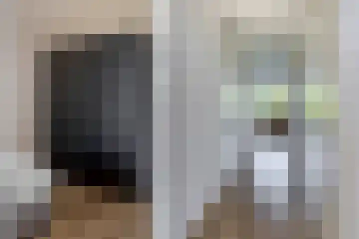Buizerdhof 377 Capelle aan den IJssel thumbnail 16