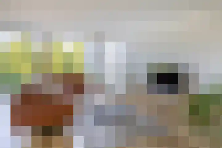 Buizerdhof 377 Capelle aan den IJssel thumbnail 17