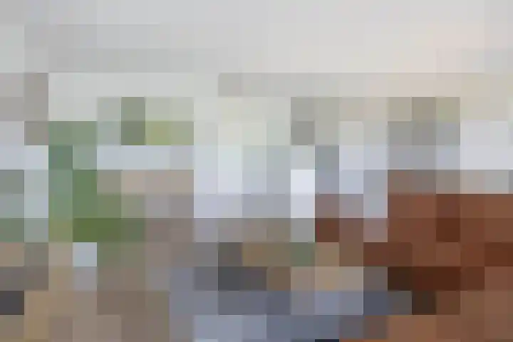 Buizerdhof 377 Capelle aan den IJssel thumbnail 19