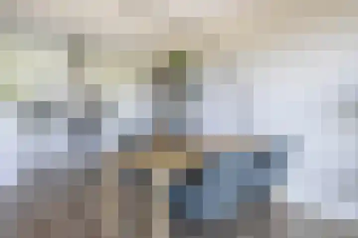 Buizerdhof 377 Capelle aan den IJssel thumbnail 20