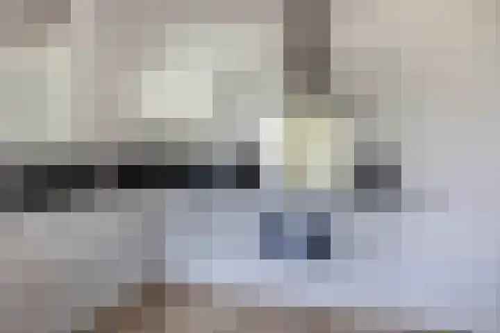 Buizerdhof 377 Capelle aan den IJssel thumbnail 21