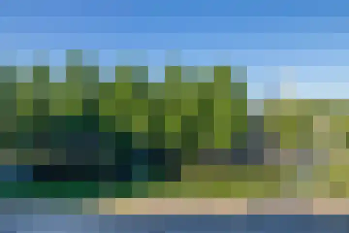 Buizerdhof 377 Capelle aan den IJssel thumbnail 25