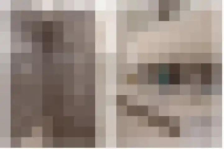 Buizerdhof 377 Capelle aan den IJssel thumbnail 31