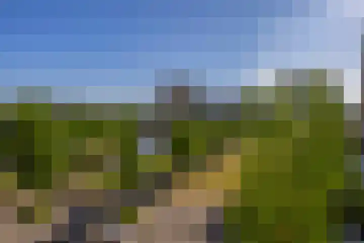Buizerdhof 377 Capelle aan den IJssel thumbnail 35